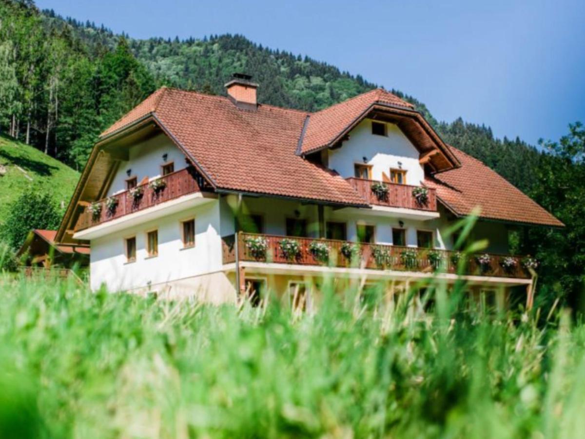 Na Logu - Farm Stay Ambroz Gregorc Solcava Exterior photo