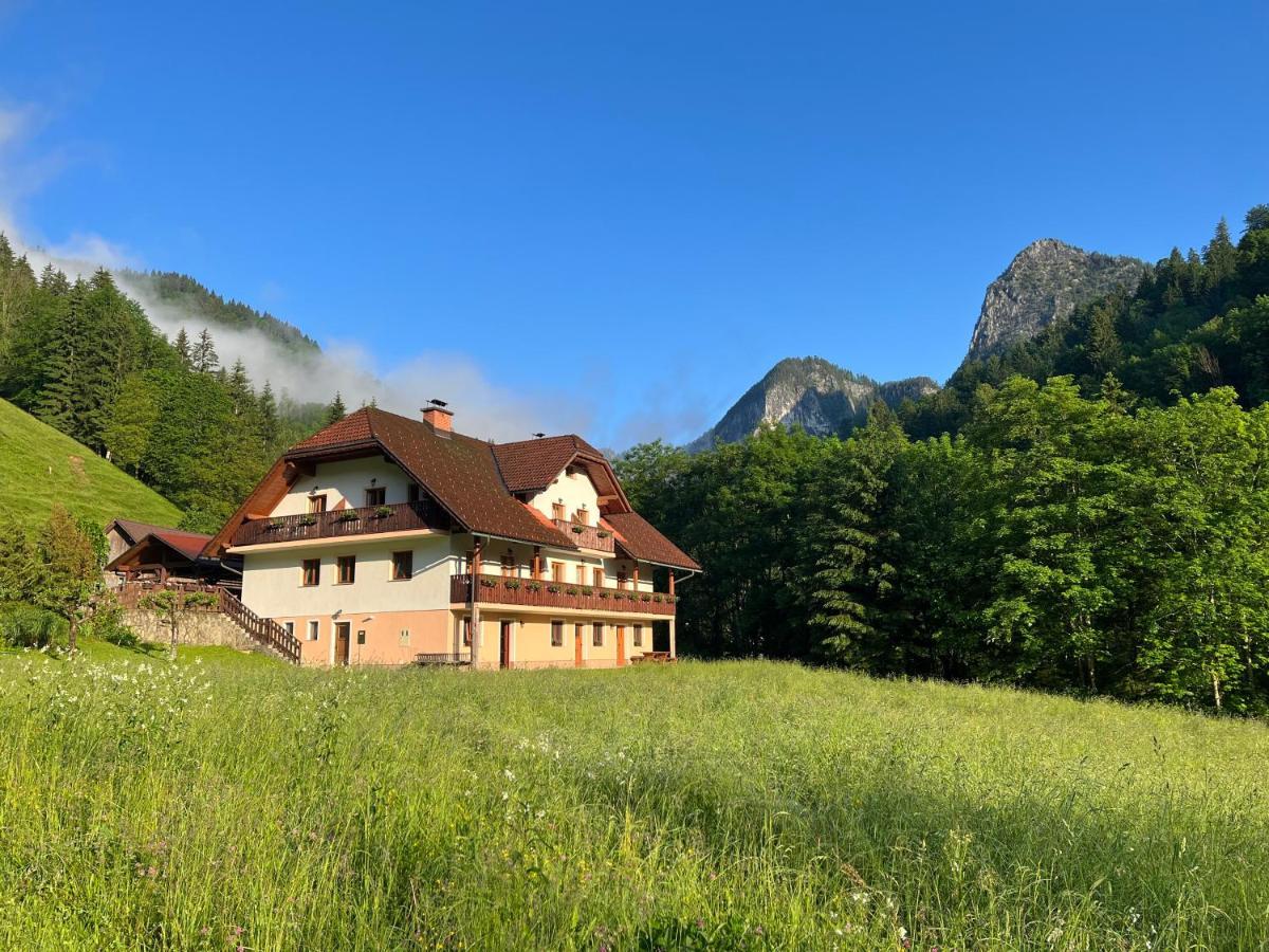 Na Logu - Farm Stay Ambroz Gregorc Solcava Exterior photo