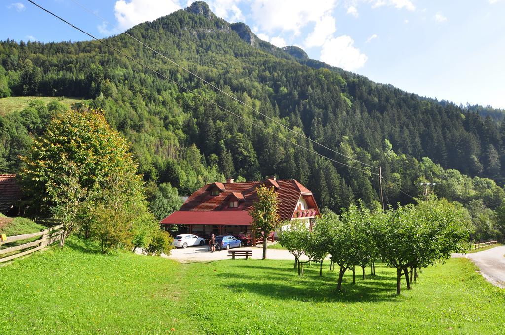 Na Logu - Farm Stay Ambroz Gregorc Solcava Exterior photo