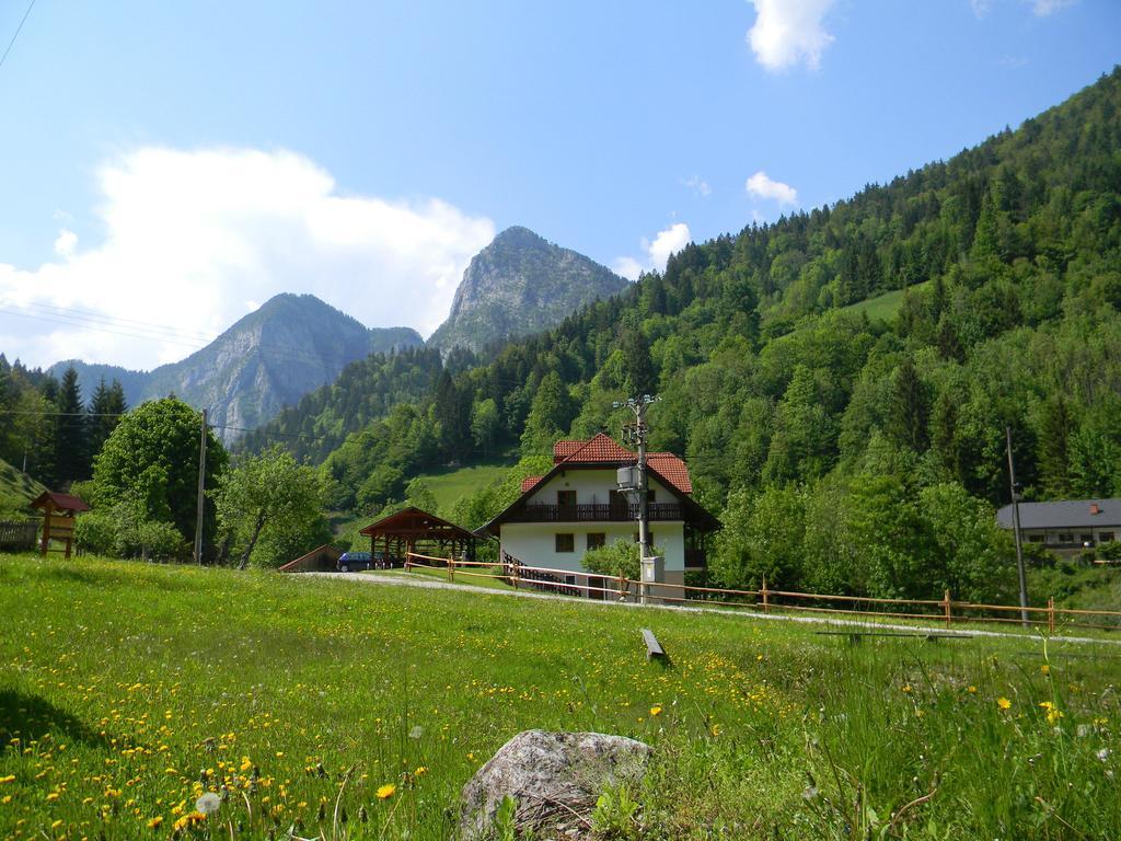 Na Logu - Farm Stay Ambroz Gregorc Solcava Exterior photo
