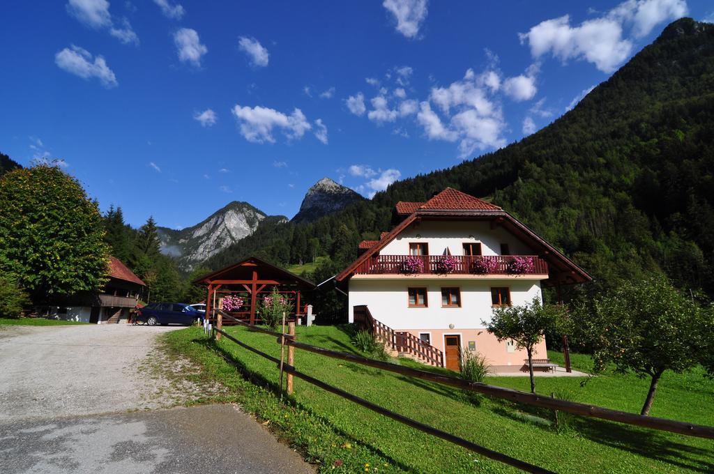 Na Logu - Farm Stay Ambroz Gregorc Solcava Exterior photo